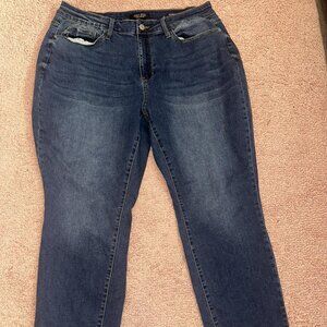 Judy Blue Boyfriend Fit